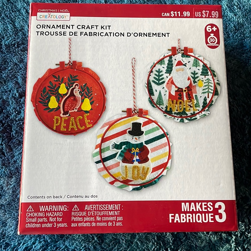 Creatology Ornament Craft Kit